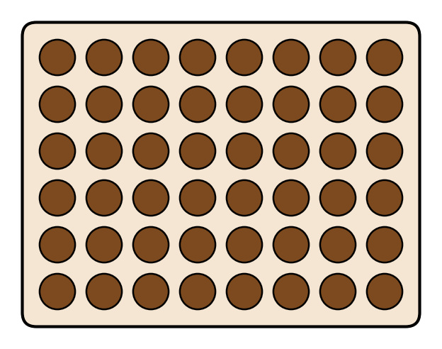 Boîte de chocolats vue de dessus : les chocolats sont rangés en 6 rangées de 8
