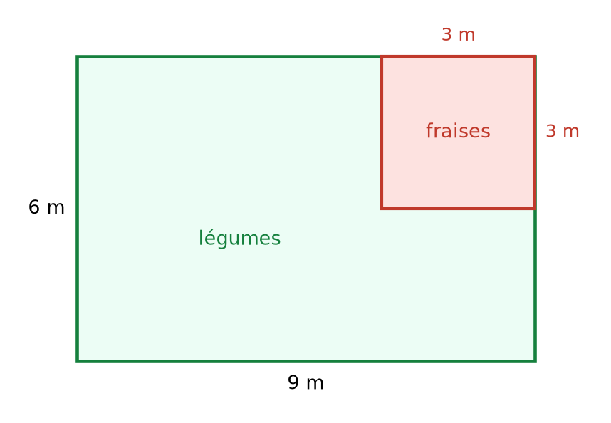 Plan d'un potager rectangulaire de 9 m sur 6 m, avec dans un coin un carré de fraises de 3 m de côté