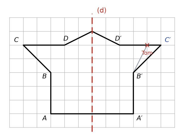 Figure corrigée : le bon point C′ en bleu à 5 carreaux de l'axe, le point de Tom en rouge à 4 carreaux et son tracé en gris