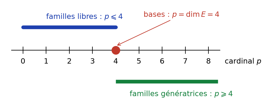 Axe des cardinaux en dimension 4 : familles libres pour p au plus 4, génératrices pour p au moins 4, bases pour p = 4