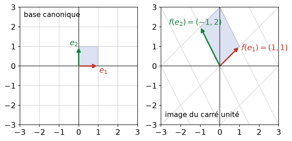Base canonique du plan et ses images par u, qui transforment le carré unité en parallélogramme