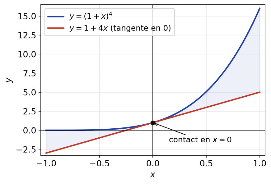 Courbe de (1+x) puissance 4 au-dessus de la droite y = 1 + 4x sur l'intervalle de -1 à 1
