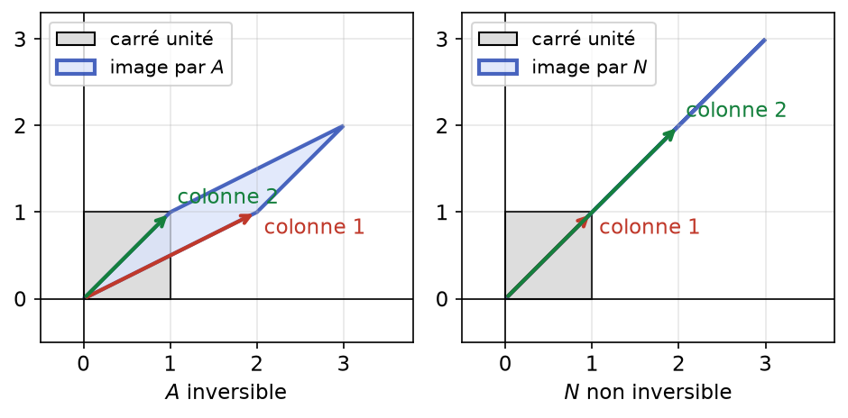Image du carré unité par une matrice inversible, un parallélogramme, puis par une matrice non inversible, un segment