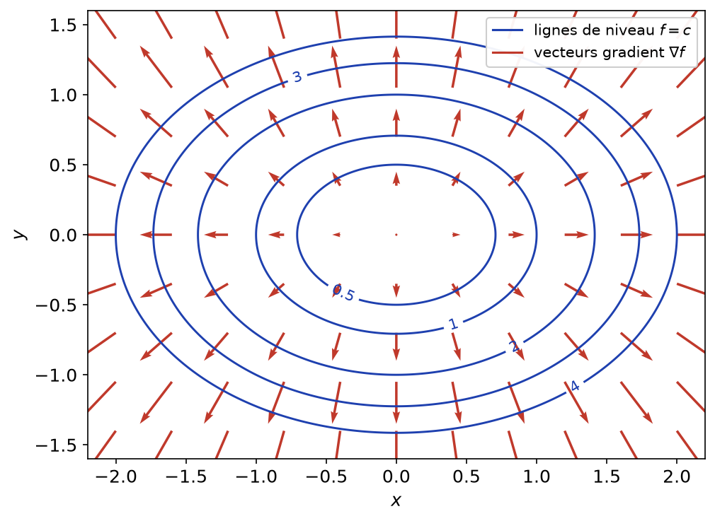 Lignes de niveau elliptiques de x² + 2y² et champ des vecteurs gradient, orthogonaux à ces lignes