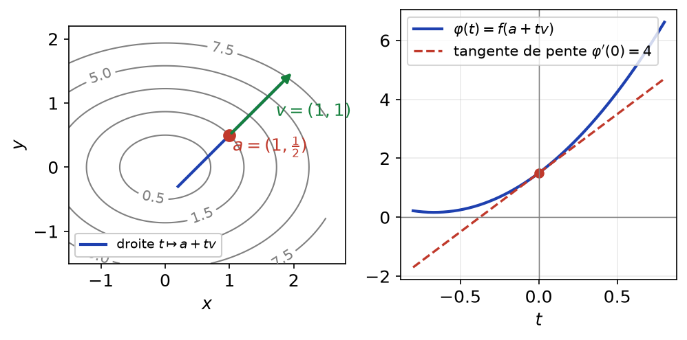 Droite passant par a dirigée par v sur les lignes de niveau, et graphe de phi avec sa tangente de pente 4