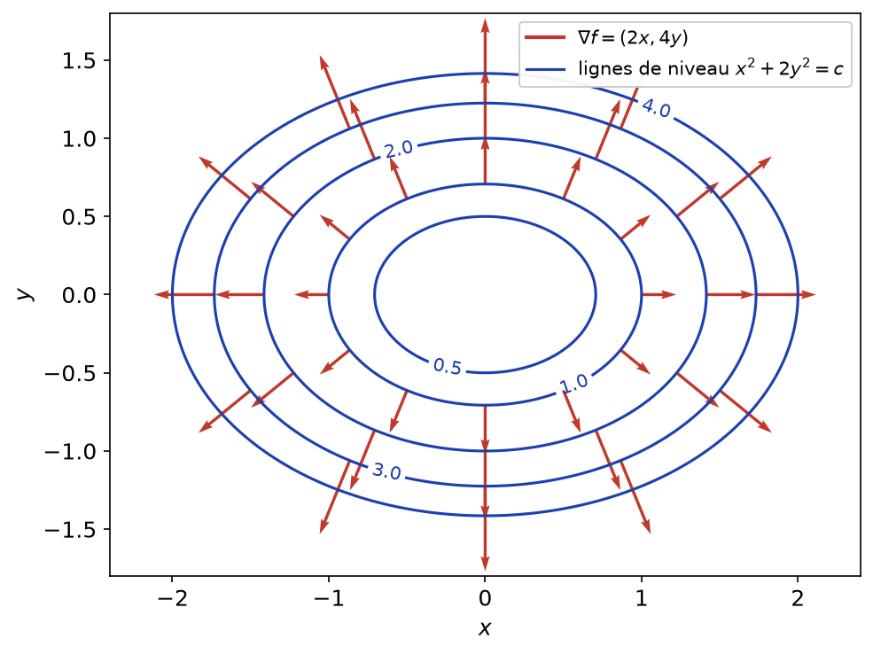 Ellipses de niveau de x² + 2y² et vecteurs gradients orthogonaux à ces courbes, dirigés vers l'extérieur