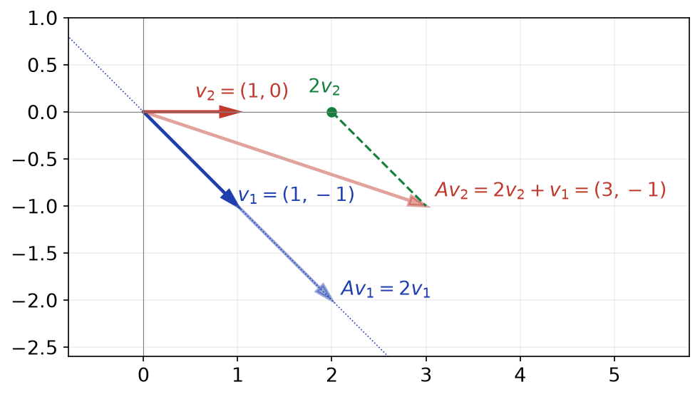 Base (v1, v2) de trigonalisation : Av1 = 2v1 et Av2 = 2v2 + v1, décomposition représentée en pointillés