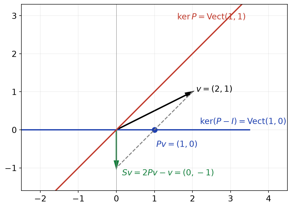 Vecteur v, son projeté Pv sur l'axe des abscisses et son symétrique Sv parallèlement à la droite y = x