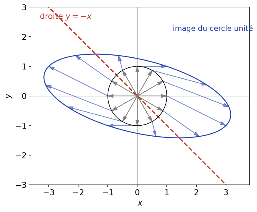 Image par A de douze vecteurs unitaires et du cercle unité, avec la droite y = -x en pointillés