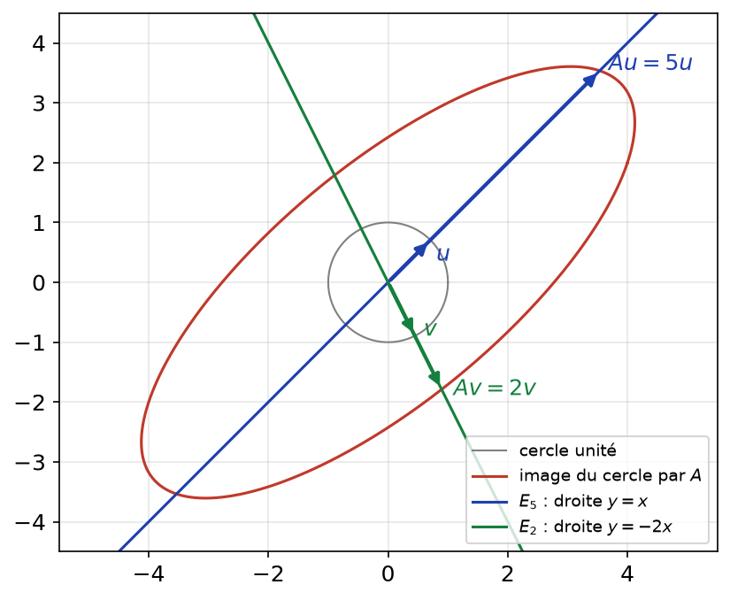 Droites propres y = x et y = -2x de la matrice A et image du cercle unité, avec Au = 5u et Av = 2v