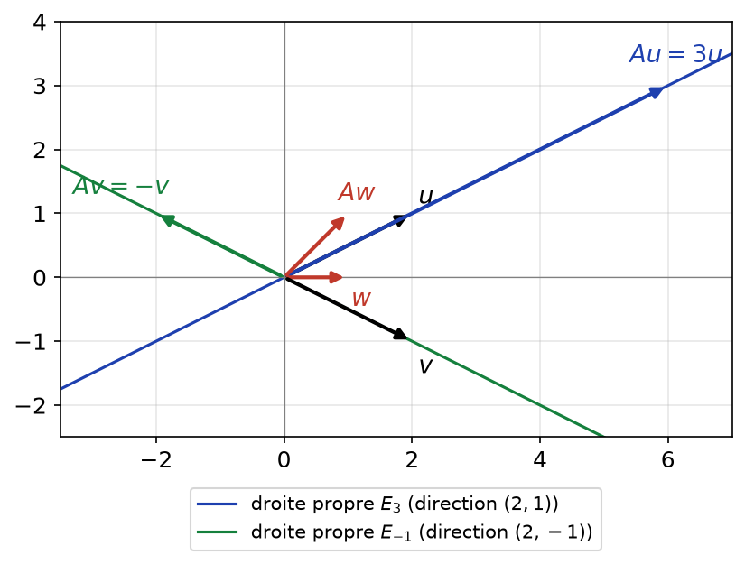 Deux droites stables par la matrice A : les vecteurs u et v gardent leur direction, contrairement au vecteur w