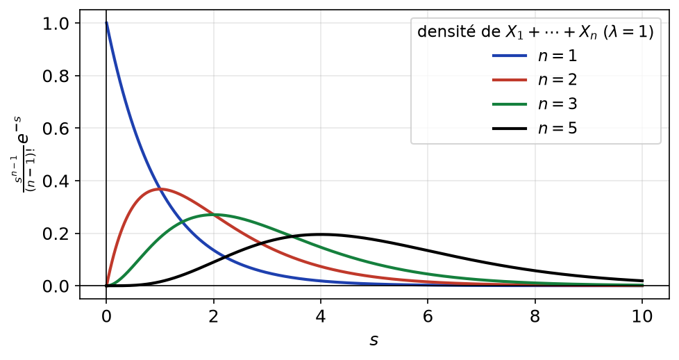 Densités de la somme de n variables exponentielles de paramètre 1 pour n égal à 1, 2, 3 et 5