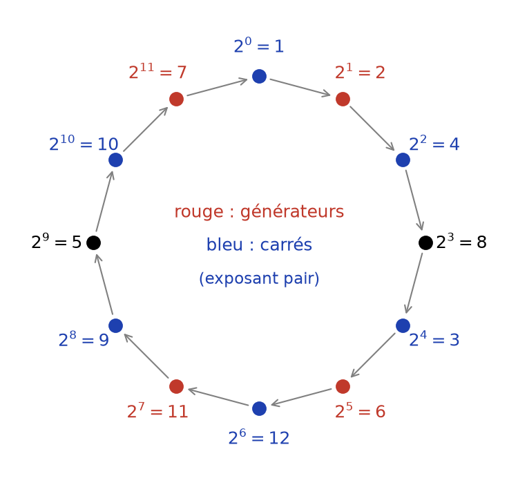 Les douze puissances de 2 modulo 13 sur un cycle, générateurs en rouge et carrés en bleu