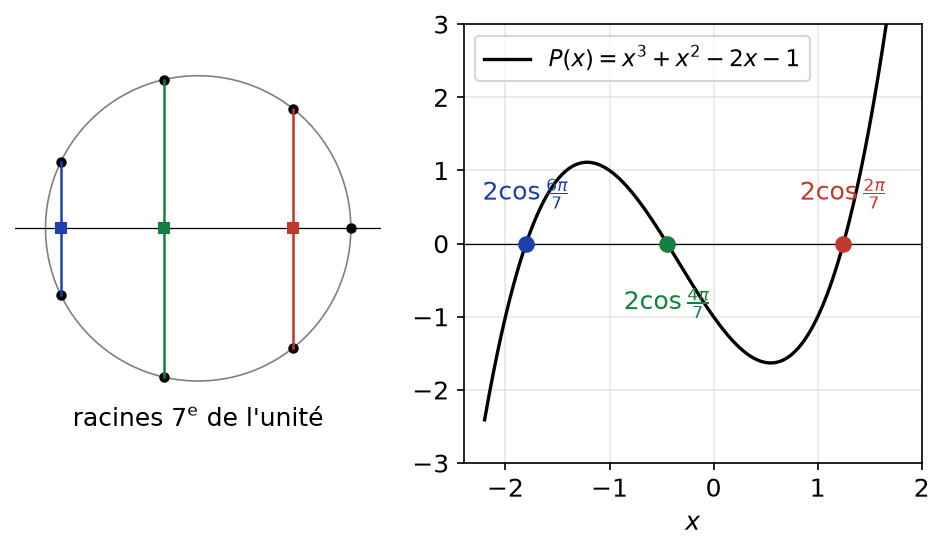 Racines septièmes de l'unité projetées sur l'axe réel et courbe du polynôme x^3 + x^2 - 2x - 1 avec ses trois racines