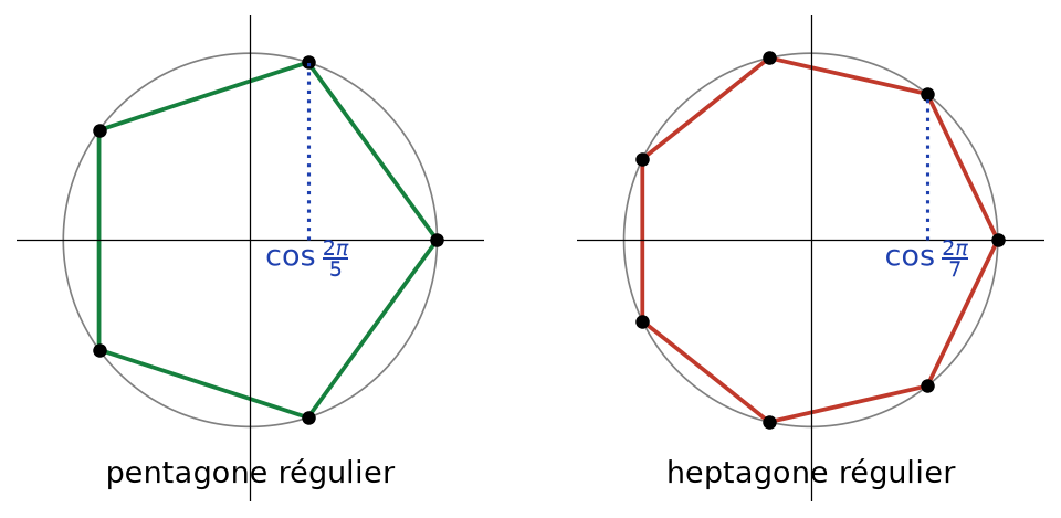 Pentagone et heptagone réguliers inscrits dans le cercle unité, avec la projection de cos(2π/5) et de cos(2π/7) sur l'axe réel