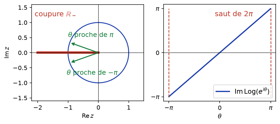 Coupure le long des réels négatifs et saut de 2π de la partie imaginaire du logarithme principal sur le cercle unité