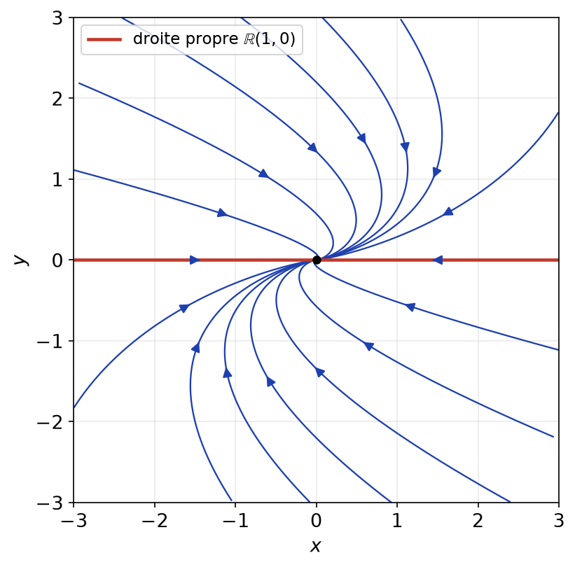 Portrait de phase du système X prime égal J2(-1) X : trajectoires convergeant vers l'origine le long de la droite propre