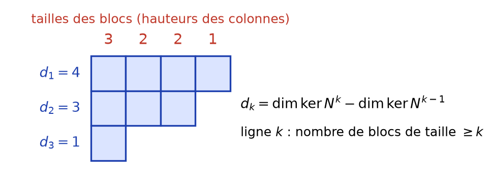Tableau de Young à lignes 4, 3, 1 dont les colonnes de hauteurs 3, 2, 2, 1 donnent les blocs de Jordan