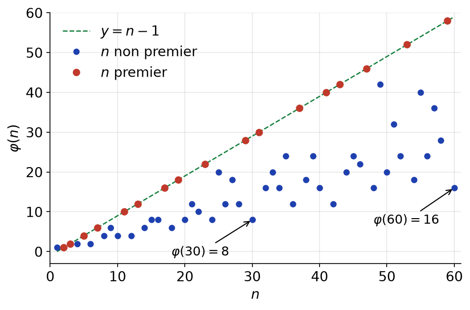 Valeurs de l'indicatrice d'Euler φ(n) pour n de 1 à 60, les nombres premiers alignés sur la droite y = n - 1