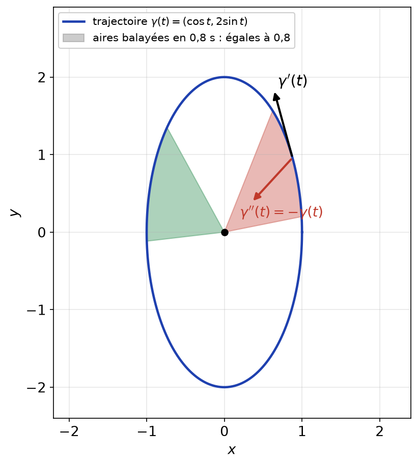 Trajectoire elliptique de gamma(t) = (cos t, 2 sin t), accélération dirigée vers l'origine et deux secteurs d'aire égale balayés en des durées égales