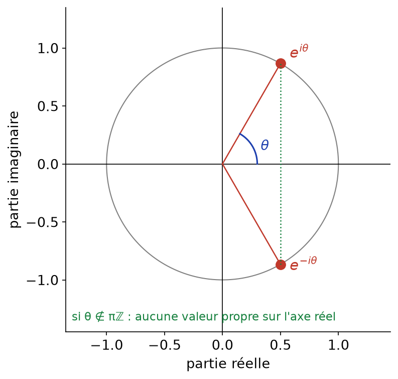 Valeurs propres complexes conjuguées d'une matrice de rotation d'angle thêta placées sur le cercle unité