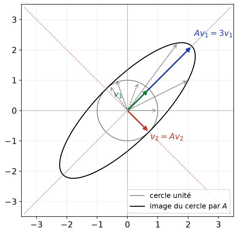 Image du cercle unité par la matrice A et directions propres v1 et v2 conservées, de valeurs propres 3 et 1
