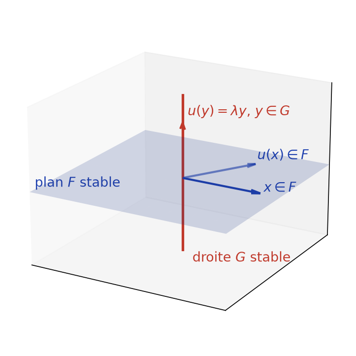 Plan F stable contenant x et u(x), et droite G stable dirigée par un vecteur propre y