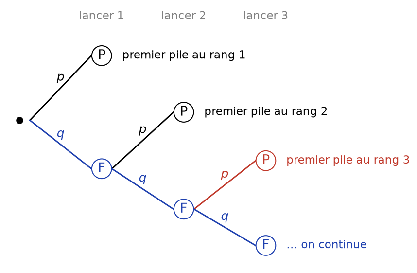 Arbre des premiers lancers de pile ou face, avec les branches menant au premier pile aux rangs 1, 2 et 3