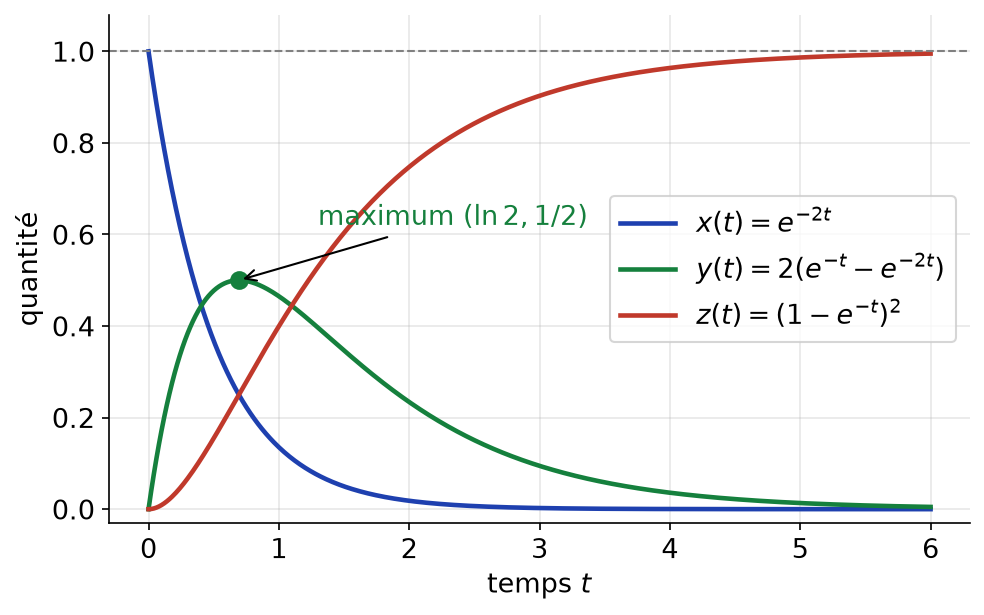 Évolution des quantités x, y et z dans les trois compartiments, avec le maximum de y en t = ln 2