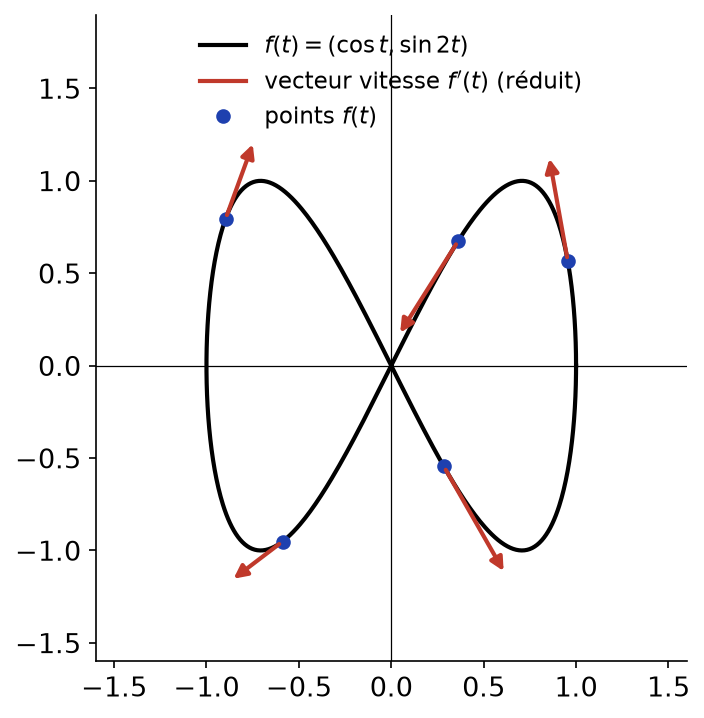 Courbe de Lissajous t ↦ (cos t, sin 2t) avec plusieurs vecteurs vitesse tangents à la trajectoire