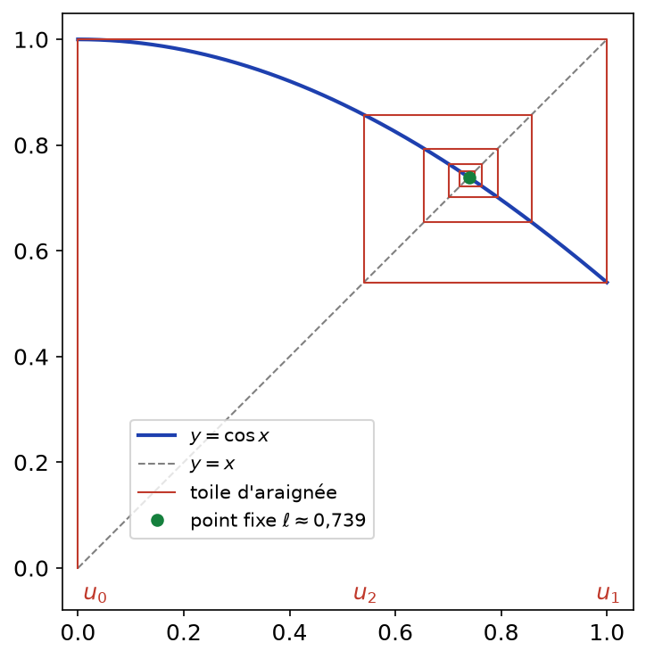 Toile d'araignée de la suite u(n+1) = cos u(n) partant de 0 et convergeant vers le point fixe 0,739