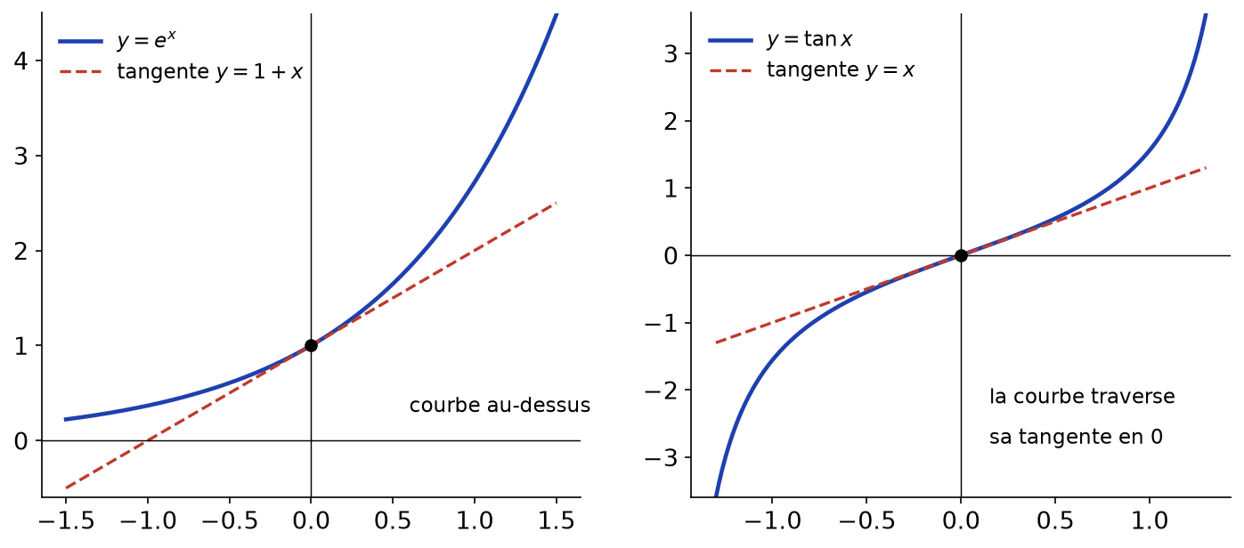 Exponentielle au-dessus de sa tangente y = 1 + x et fonction tangente traversant la droite y = x en 0