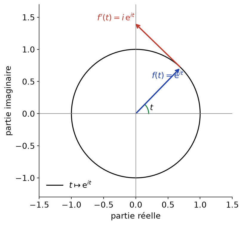 Le point e^(it) sur le cercle unité et son vecteur dérivé i e^(it), orthogonal au rayon