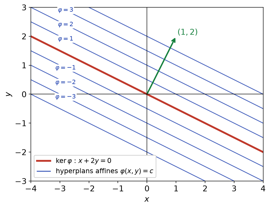 Droites parallèles d'équation x + 2y = c pour plusieurs valeurs de c, et noyau de la forme passant par l'origine