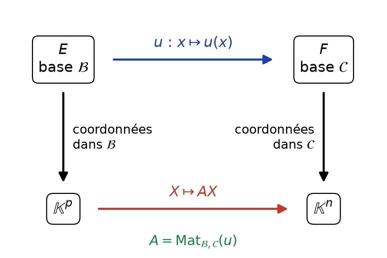 Diagramme commutatif : u de E dans F en haut, multiplication par A de K^p dans K^n en bas, coordonnées verticales