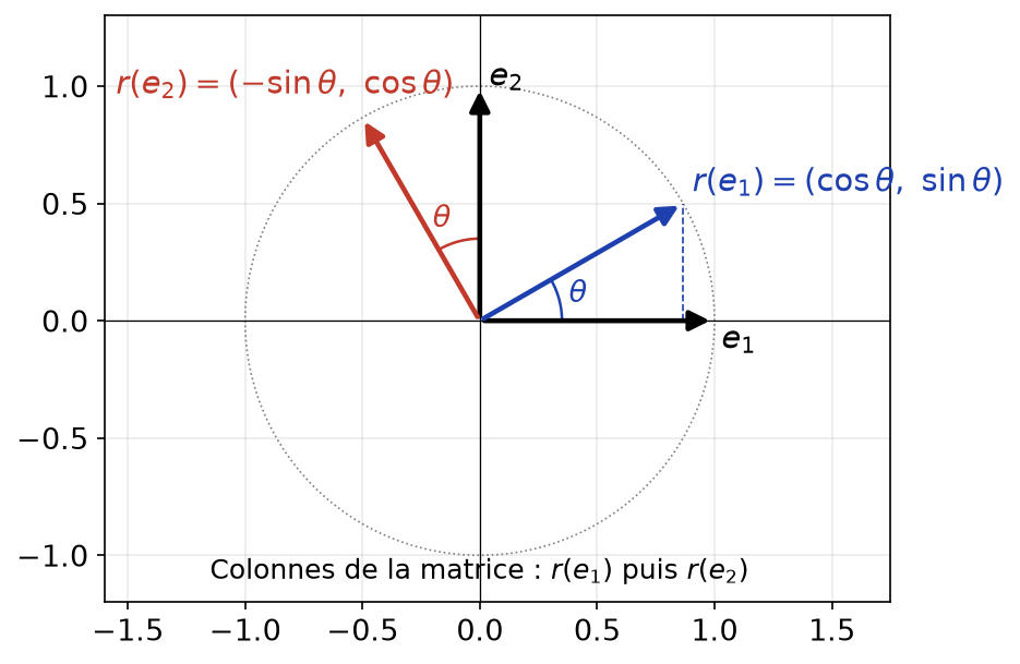 Rotation d'angle thêta dans le plan : les vecteurs e1 et e2 et leurs images, qui forment les colonnes de la matrice