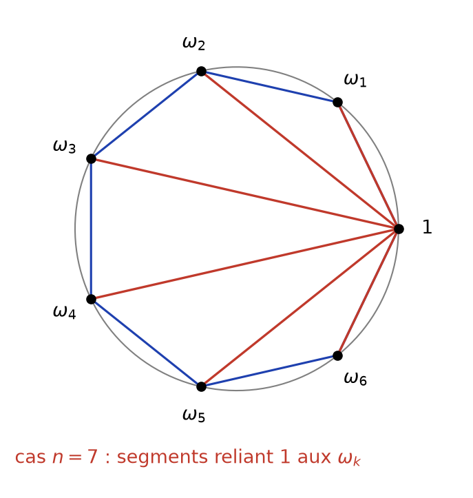 Heptagone régulier inscrit dans le cercle unité avec les segments reliant le sommet 1 aux six autres sommets