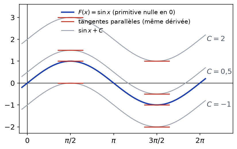 Courbes de plusieurs primitives sin x + C de la fonction cosinus, translatées verticalement, avec tangentes parallèles