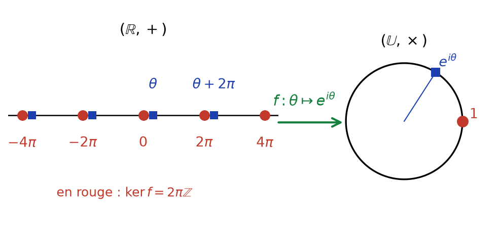 Enroulement de la droite réelle sur le cercle unité par θ ↦ e^{iθ}, les multiples de 2π formant le noyau